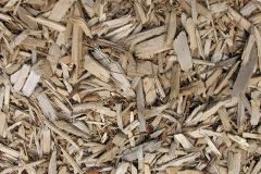 biomass boilers Mosstodloch